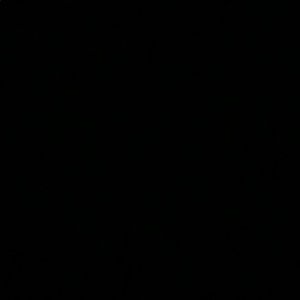 Meet your Posher, Bella